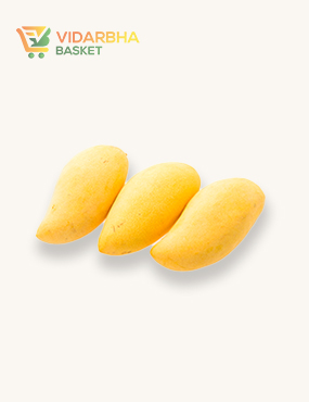 perspiciatis unde omnis