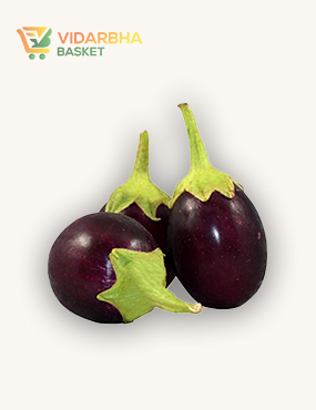 aliquam quat voluptatem