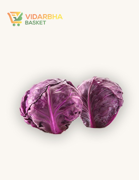 aliquam quat voluptatem