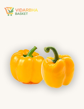 aliquam quat voluptatem