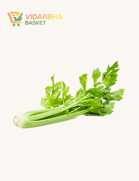 perspiciatis unde omnis