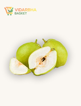 aliquam quat voluptatem