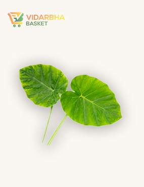 perspiciatis unde omnis