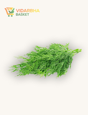 perspiciatis unde omnis