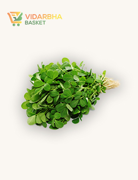 aliquam quat voluptatem