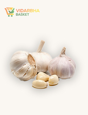 perspiciatis unde omnis