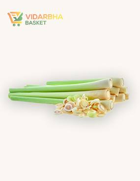 aliquam quat voluptatem