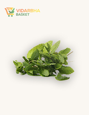 aliquam quat voluptatem