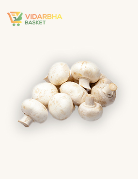 aliquam quat voluptatem