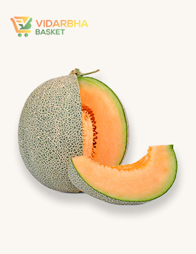 aliquam quat voluptatem