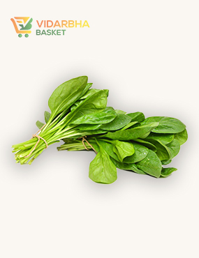 aliquam quat voluptatem