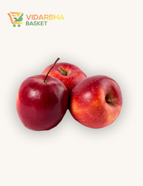 perspiciatis unde omnis