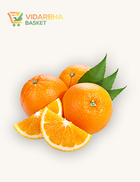 aliquam quat voluptatem